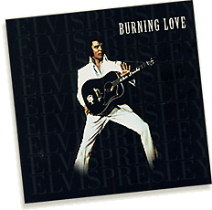 Burning Love